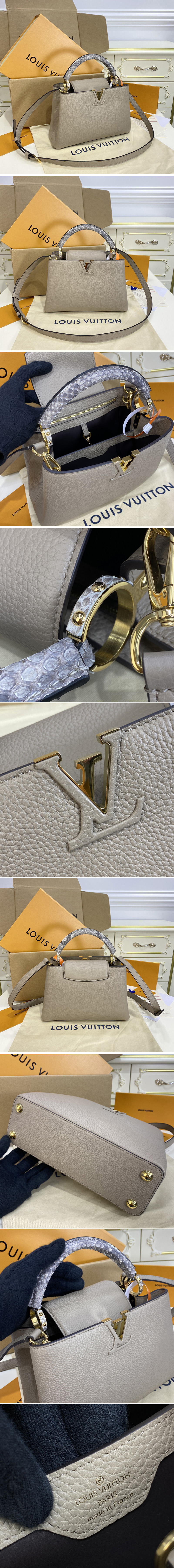 Louis Vuitton CAPUCINES Capucines mini (N98477)